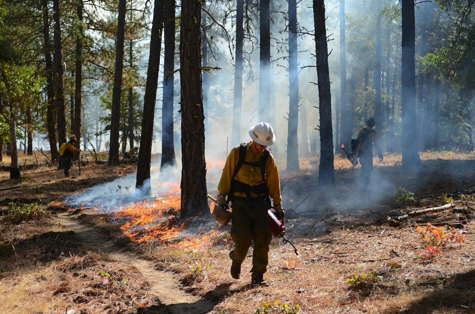 Wildfire Preparedness in Nevada: What Insurance Actually Covers in 2026