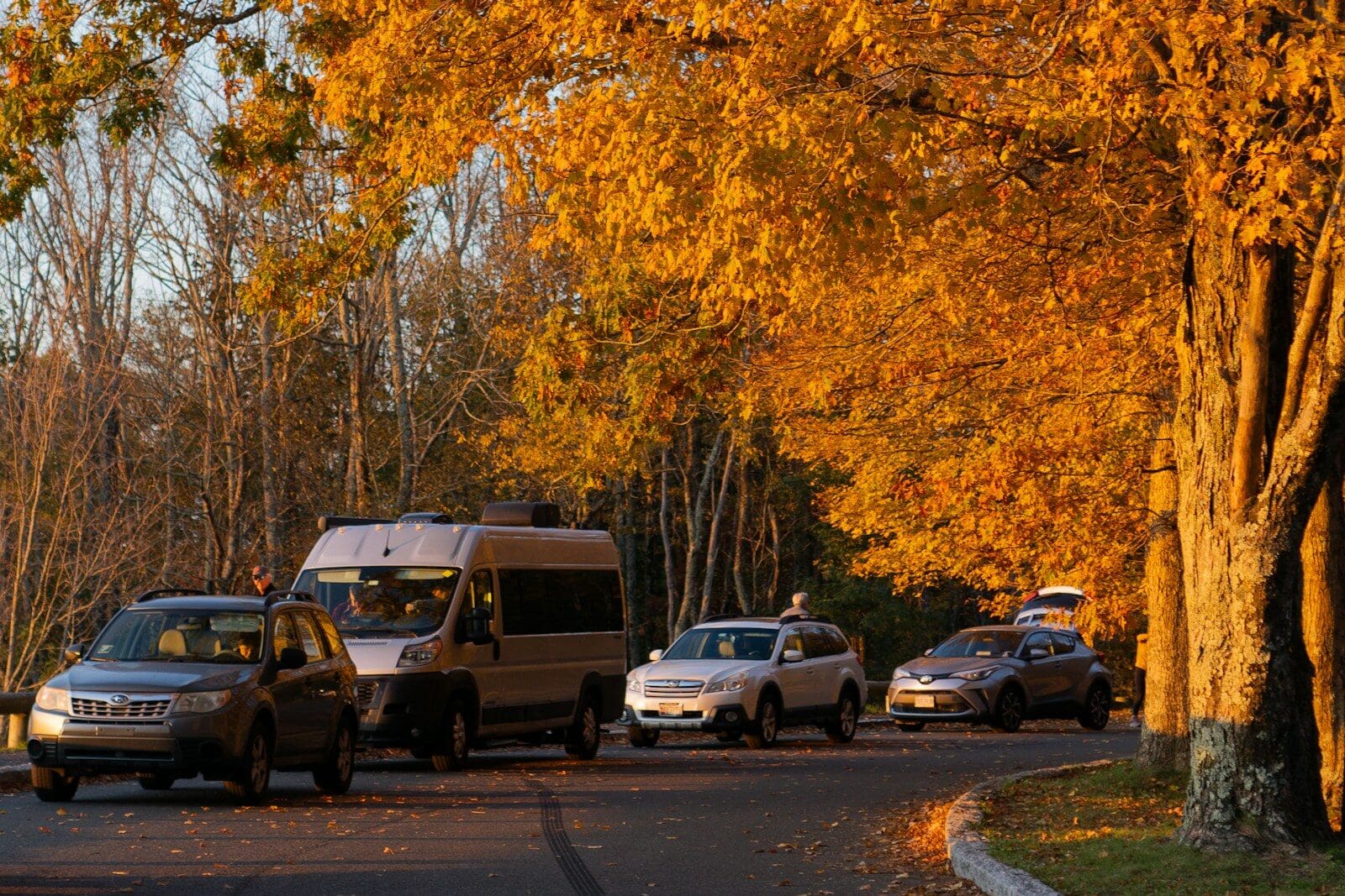 Top Auto Insurance Discounts Families Should Check for This Fall
